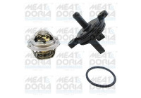 Thermostat, coolant