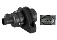 Auxiliary water pump (cooling water circuit)