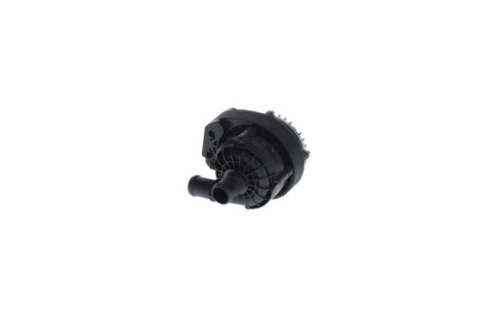 Auxiliary water pump (cooling water circuit)
