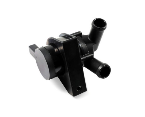 Auxiliary water pump (cooling water circuit)