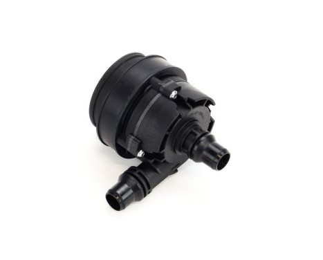 Auxiliary water pump (cooling water circuit)