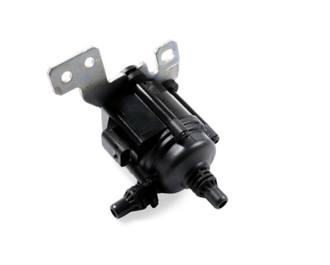 Auxiliary water pump (cooling water circuit)