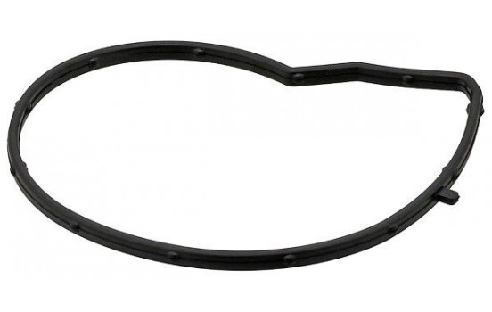 Gasket, water pump 387.590 Elring
