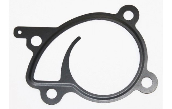 Gasket, water pump 449.440 Elring