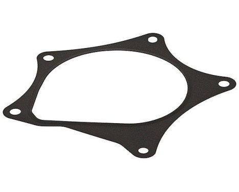 Gasket, water pump 876.160 Elring