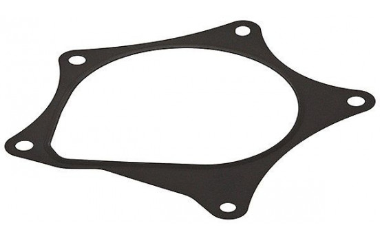 Gasket, water pump 876.160 Elring
