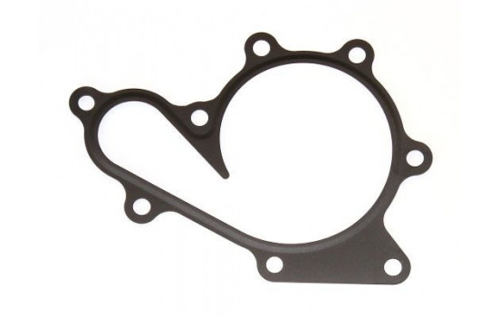 Gasket, water pump 899.520 Elring