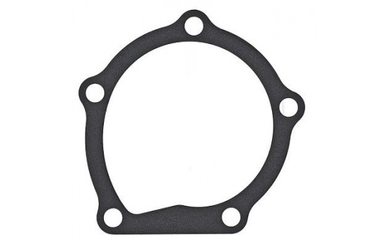 Gasket, water pump 925.170 Elring