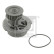 Water Pump 01262 FEBI, Thumbnail 2