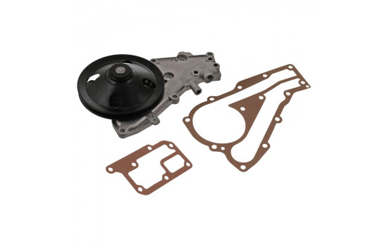 Water Pump 09024 FEBI