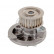 Water Pump 17283 FEBI, Thumbnail 2