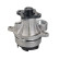 water pump 179556 FEBI