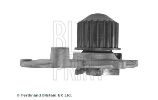 Water Pump ADA109118 Blue Print, Image 8