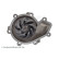 Water Pump ADG09112 Blue Print, Thumbnail 4