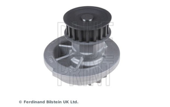 Water Pump ADG09117 Blue Print, Image 3