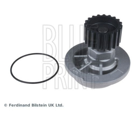 Water Pump ADG09121 Blue Print, Image 3