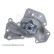 Water Pump ADG09125 Blue Print, Thumbnail 4
