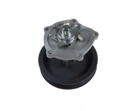 Water Pump ADG09187 Blue Print, Image 2