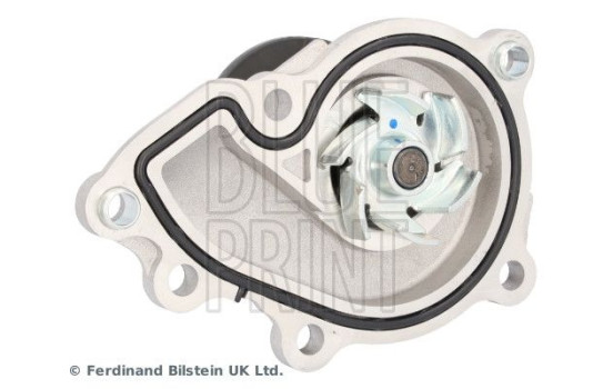 Water Pump ADG09189 Blue Print, Image 4