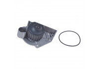 Water Pump ADJ139121 Blue Print