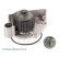 Water Pump ADJ139121 Blue Print, Thumbnail 3
