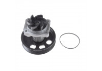 Water Pump ADK89117 Blue Print