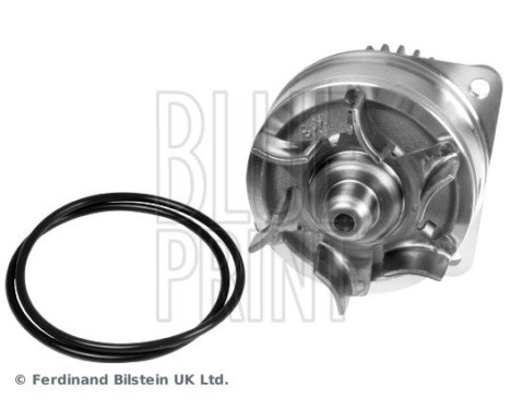 Water Pump ADN19191 Blue Print, Image 5