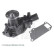 Water Pump ADZ99125 Blue Print, Thumbnail 3