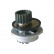 Water Pump DW-1003 Kavo parts