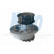 Water Pump DW-1005 Kavo parts, Thumbnail 2