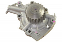 Water Pump DW-1007 Kavo parts