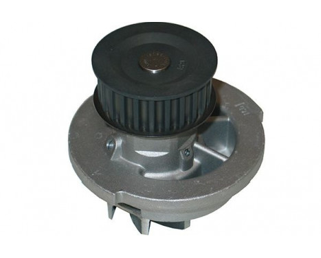 Water Pump DW-1008 Kavo parts