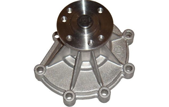 Water Pump DW-1012 Kavo parts
