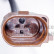 Water pump, engine cooling 7.10942.17.0 Pierburg, Thumbnail 3