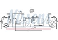 Water pump, engine cooling