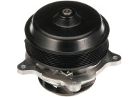 Water pump, engine cooling