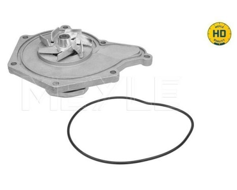 Water pump, engine cooling