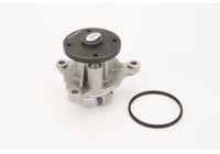 Water pump, engine cooling