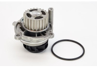 Water pump, engine cooling