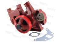 Water pump, engine cooling