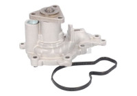 Water pump, engine cooling