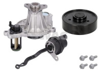 Water pump, engine cooling