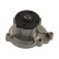 Water Pump MW-1466 Kavo parts