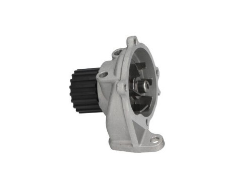 Water Pump MW-1539 Kavo parts, Image 4