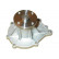Water Pump NW-1201 Kavo parts