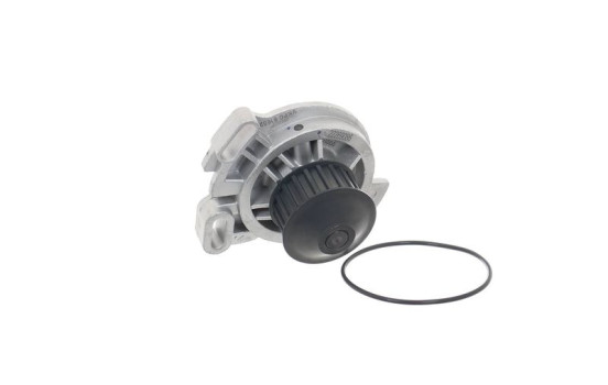 Water Pump VKPC 81602 SKF, Image 2