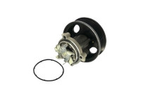 Water Pump VKPC 85701 SKF