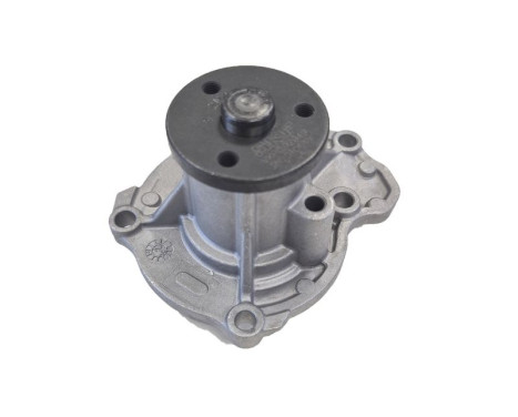 Water Pump VKPC 92949 SKF