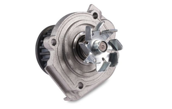 Water Pump, Image 2