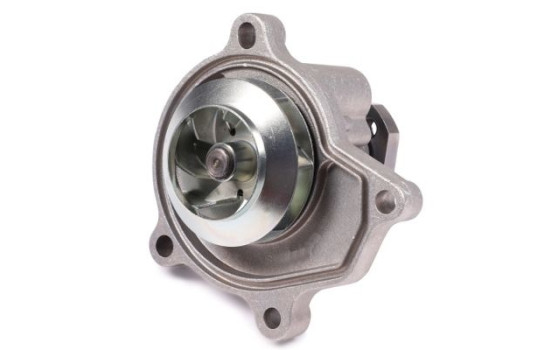 Water Pump, Image 2